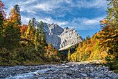  Colorful autumn in the Karwendel, Hinterriß, Karwendel, Tyrol, Austria, Europe 