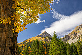  Colorful autumn in the Karwendel, Hinterriß, Karwendel, Tyrol, Austria, Europe 