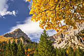  Colorful autumn in the Karwendel, Hinterriß, Karwendel, Tyrol, Austria, Europe 