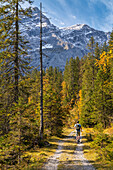 Wanderer im Herbst im Karwendel, Hinterriß, Karwendel, Tirol, Österreich, Europa