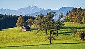  Sunny autumn morning near Sindelsdorf, Bavaria, Germany 