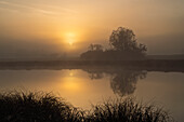  Atmospheric autumn morning near Sindelsdorf, Bavaria, Germany 