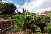  Jerichow Monastery, it is considered the oldest brick building in Northern Germany, in front of it monastery garden, Jerichow, Saxony-Anhalt, Germany 