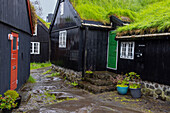 Altstadthäuser mit Grasdaechern in Torshavn, Färöer Inseln