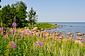 Altja,Baltic coast,Lahemaa National Park,estonia,northern europe