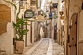  Narrow alley in the old town of Vieste, Gargano, Apulia, Italy, Europe 