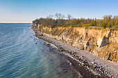  View of the Brodtener Steilfufer on the Baltic Sea, Schleswig-Holstein, Germany 