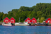  Fishing boats and huts in the harbor, Boltenhagen, Mecklenburg-Vorpommern, Germany 