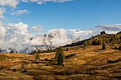  Alpine pasture with clouds in the Dolomites - Italy - South Tyrol 