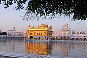 Golden temple, amritsar, punjab, india, asia