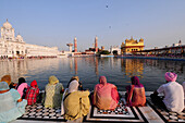 Golden temple, amritsar, punjab, india, asia