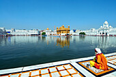 Golden temple, amritsar, punjab, india, asia