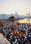 Peoples near pond, golden temple, amritsar, punjab, india, asia