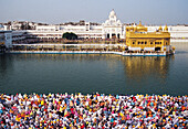 Golden temple, amritsar, punjab, india, asia