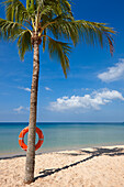 Palm tree with a life buoy on the beach at Vinpearl Resort on Phu Quoc island, Vietnam.