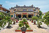  Bonsaigarten an der Chua Phap Bao Pagode. Antike Stadt Hoi An, Provinz Quang Nam, Vietnam. 