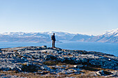 Norwegen, Altafjord, Steinvika, Wanderer schaut auf Fjord und Berge