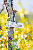  Sweden, Norrbotten County, Abisko, Abisko National Park 