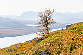  Sweden, Norrbotten County, Torneträsk (Abisko), Najerijärvi Lake 