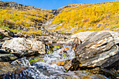 Schweden, Norrbottens län, Abisko, Nationalpark Abisko, Bach im Herbst