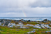 Norwegen, Finnmark, Varangerhalvøya, Berlevåg, Blick auf Meer mit Regenbogen