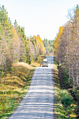 Finnland, Oulanka-Nationalpark, Wohnmobil auf Straße durch Wald im Herbst