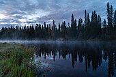 Finnland, Oulanka-Nationalpark, Blick auf See und Wald