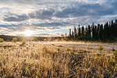 Finnland, Oulanka-Nationalpark, Blick auf See und Wald am Abend im Gegenlicht bei Sonnenuntergang