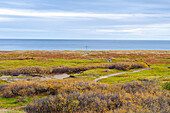  Norway, Finnmark, Grense Jakobselv, Russian border, Barents Sea 