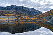  Norway, Finnmark, Grense Jakobselv, Russian border 