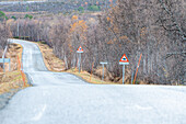 Norwegen, Lyngenalpen, Straße mit Verkehrsschild Achtung Elche