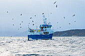 Norwegen, Skjervøy, Fischkutter, raue See