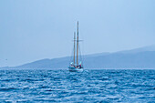 Norwegen, Skjervøy, Segelschiff im Meer