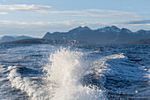 Norwegen, Skjervøy, Meer mit Welle vom Boot aus gesehen