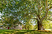  Brandywine Battlefield Park with historic Sycamore and Gilpin House in the Brandywine Valley near Chadds Ford, Delaware County, Pennsylvania, USA 