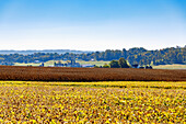  Landscape with farm and grain silo and Amish working in the fields near Strasburg in the Pennsylvania Dutch Country in Pennsylvania, USA 