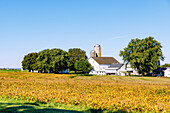  Landscape with farm and grain silo near Strasburg in the Pennsylvania Dutch Country in Pennsylvania, USA 