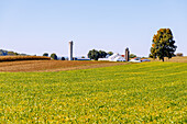  Landscape with farm and grain silo near Strasburg in the Pennsylvania Dutch Country in Pennsylvania, USA 