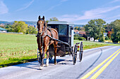  Amish horse-drawn carriage on a country road near Strasburg in the Pennsylvania Dutch Country in Pennsylvania, USA 