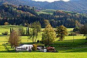  Natural swimming pool, Grainbach, Samerberg, Chiemgau, Upper Bavaria, Germany 