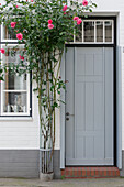  house entrance with pink climbing rose 