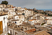 Stadtansicht Monte Sant’Angelo, Gargano, Apulien, Italien, Europa