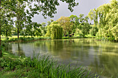  Pond in Lüderbach, Ringgau, Hesse, Germany  