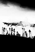  Bad weather in the Alps, Radein, South Tyrol, Alto Adige, Italy 