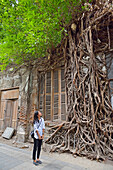 young woman in front of ficus roots growing on a wall of a ruined building, Old Town of Semarang, Java island, Indonesia, Southeast Asia