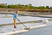 salt fields at Karangjahe, near Lasem, Java island, Indonesia, Southeast Asia