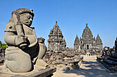 stone gate guardian (dvarapala) of Sewu Temple Compound, eighth century Buddhist temple located at the north of Prambanan Temple Compounds, region of Yogyakarta, Java island, Indonesia, Southeast Asia