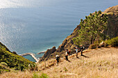 hiking trail from Prazeres to Paul do Mar,Madeira island,Atlantic Ocean,Portugal