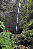 waterfall in Green Cauldron (caldeirao verde),Madeira island,Atlantic Ocean,Portugal