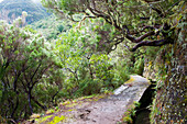 Rabacal levada walk towards the 25 Fountains cirque,Madeira island,Atlantic Ocean,Portugal